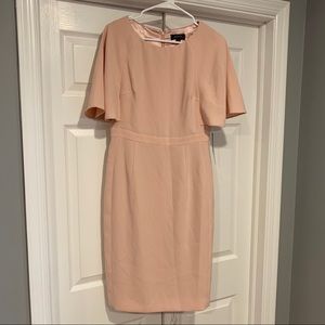 Tahari blush pink midi dress